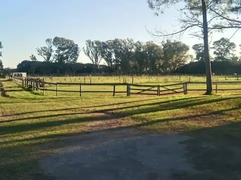 Estancia - Haras - Solis