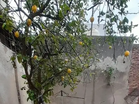 Depto Tipo Casa en Venta de 3 ambientes