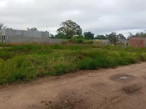 Terreno en Venta 10  mts Fondo