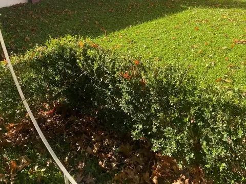 Quinta en Venta de 3 dormitorios