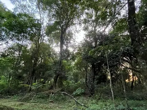 Terreno en Venta en Obera, USD 20.000