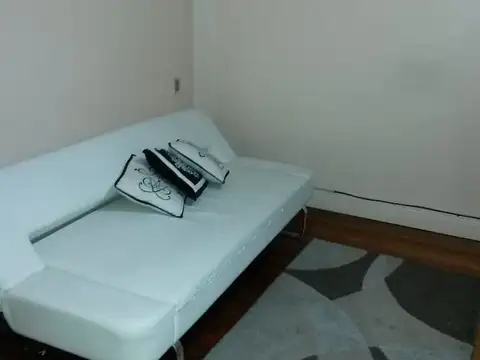HERMOSO DTO  2 AMB TECHOS ALTOS. CONFORT TODO EN MADERA
