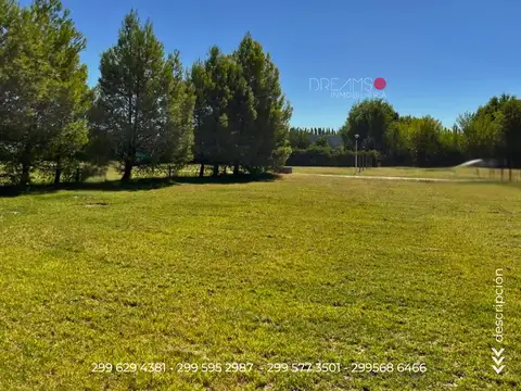 Terreno en Venta 50  mts Fondo