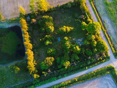 Terreno en Venta de 10000,0 m2