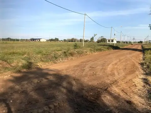 LOTEO MIS TIOS- CONCEPCIÓN DEL URUGUAY