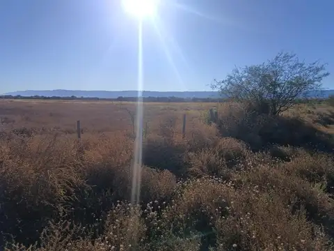 CAMPO MIXTO 91 HECTAREAS VILLA LARCA SAN LUIS