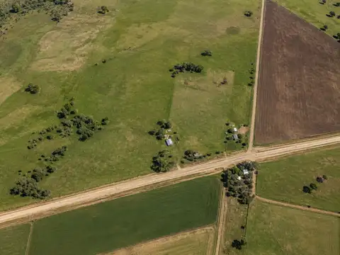 CAMPO GANADERO EN VENTA CAÑUELAS 90 HECTAREAS