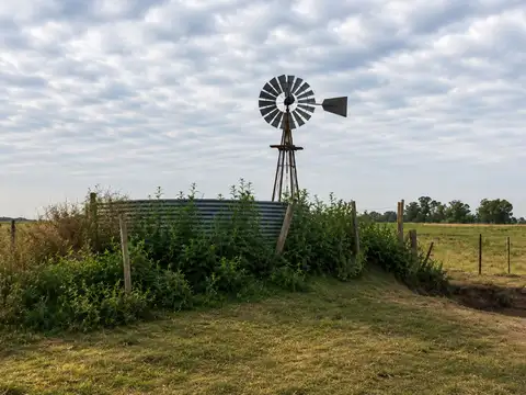 CAMPO GANADERO EN VENTA CAÑUELAS 90 HECTAREAS