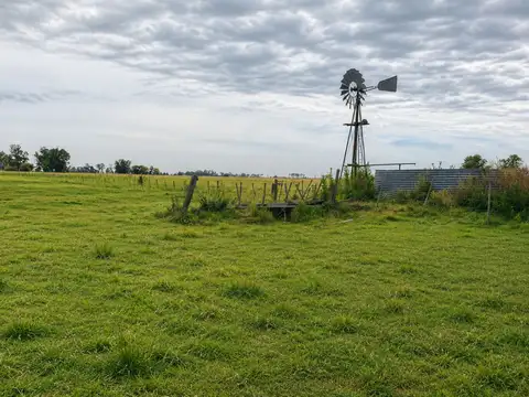 CAMPO GANADERO EN VENTA CAÑUELAS 90 HECTAREAS