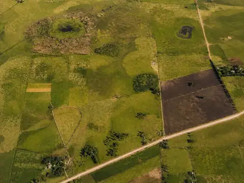 CAMPO GANADERO EN VENTA CAÑUELAS 90 HECTAREAS
