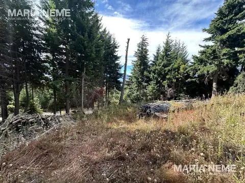 Barrio Antu Hue 29 - Cerro Otto-