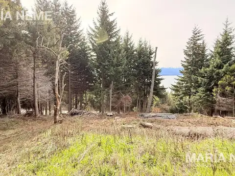 Terreno en Venta de 2033,0 m2