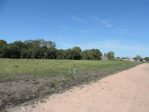 Avenida Doctor Alberto D. Roldan y camino autobalsa