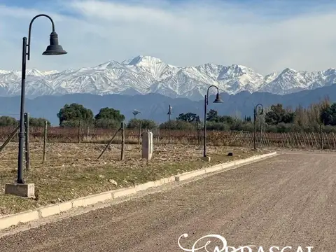 VENTA LOTE EN COMPLEJO CARRASCAL 