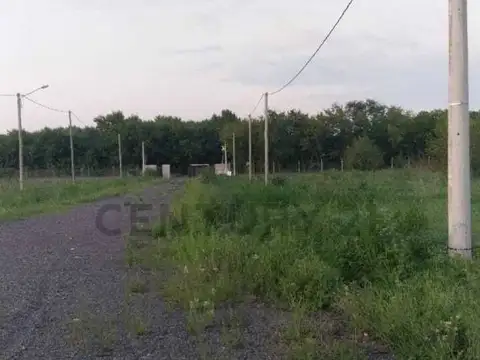 150 entre 449 y 450 100, Piso 0