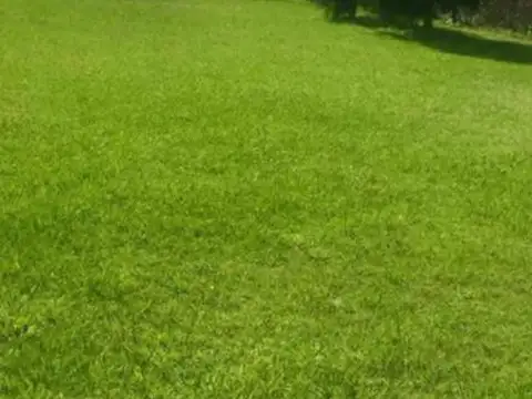 Terreno en Venta 50  mts Fondo