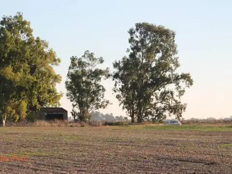 Terreno en Venta en Zavalla, USD 1.100.000