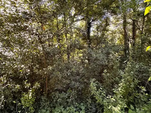 Terreno en Venta 22,20  mts Fondo