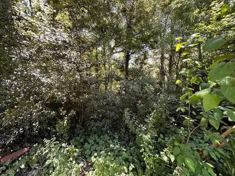 Terreno en Venta de 979,0 m2