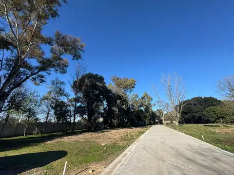 Terreno en Venta 25  mts Fondo