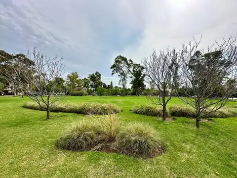Terreno en Venta, FOT 45