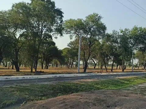 Ruta 16 La Brava