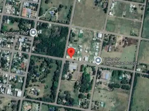 Alberti y Rosa Balzarett