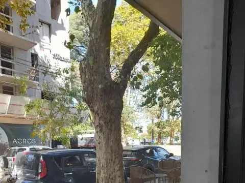 Local en Alquiler Via Pública