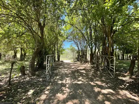 61 bis y calle 116