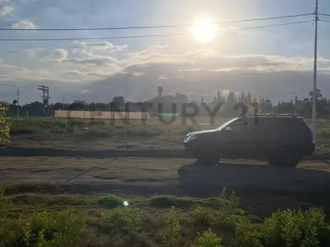 Profesor Mathus , Piso 0