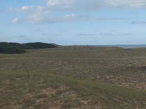 Terreno en Venta de 5000,0 m2