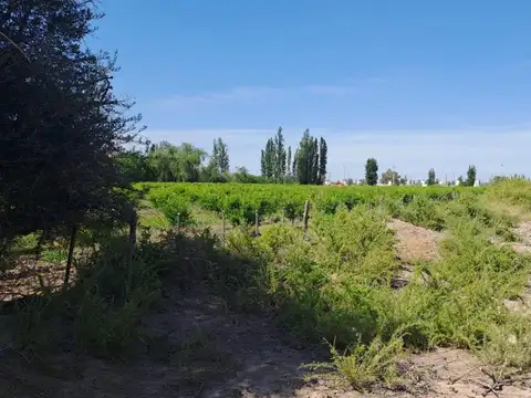 Terreno en Venta de 36739,0 m2