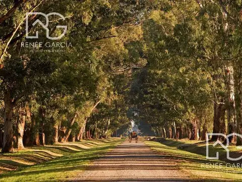 Estancia Villa María , Canning Ezeiza, lote al 300