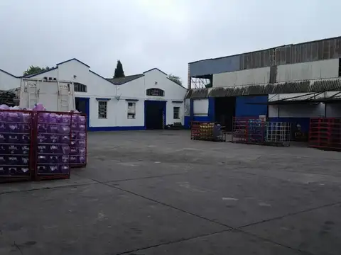 PREDIO DEPOSITO INDUSTRIAL EN ALQUILER EN LA PLATA