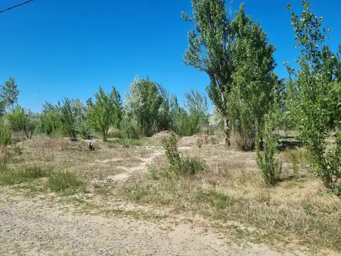 VENTA LOTE RINCON DE LOS PATOS