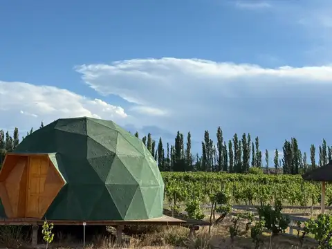 Fondo de comercio venta  Domos  15km de San Rafael