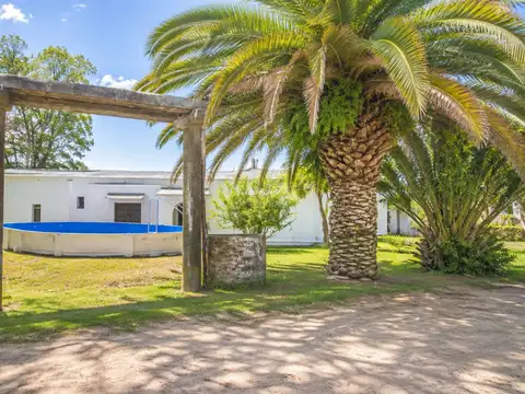 Campo en Venta en Suipacha, Partido de Suipacha