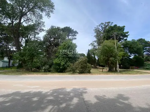 EXCELENTE TERRENO SOBRE CIRCUNVALACION