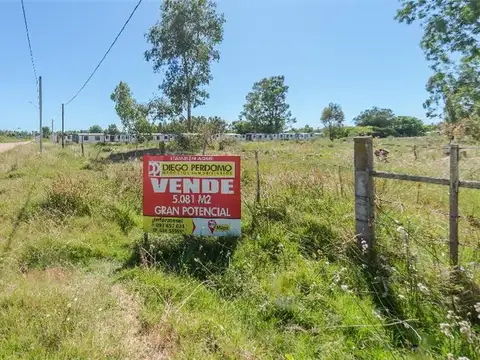 Terreno en Venta 50  mts Frente