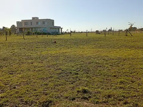 Avenida Carlos Pellegrini 4500