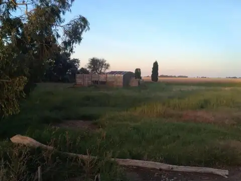 Campo en venta - 280 Hectáreas - Bolívar