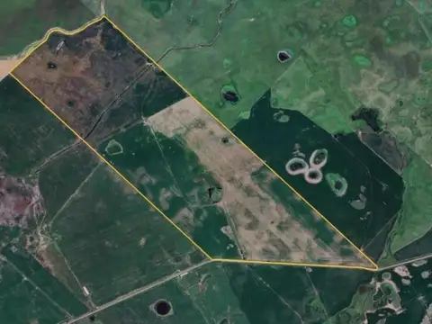 Ruta Nacional 205