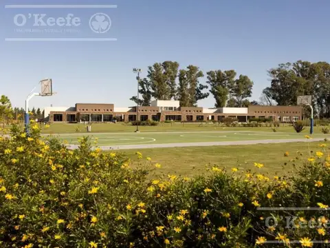 Lote Miralagos