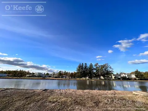 Lote Campos de Roca