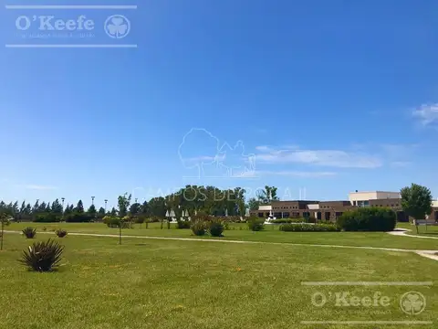 Lote Campos de Roca