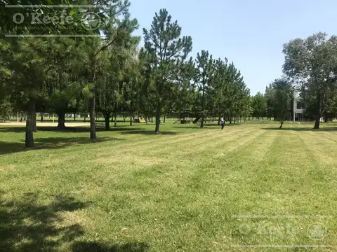 Lote Miralagos