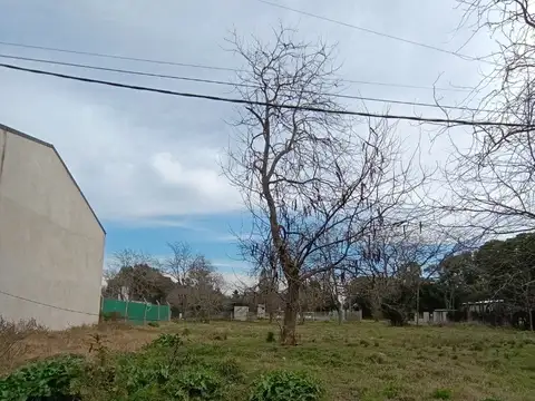 Terreno en Venta 44  mts Fondo