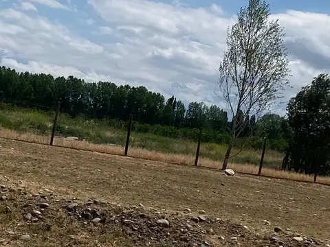 Oportunidad de inversión y vida en Entrevides