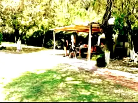 Belisario Roldan 1800