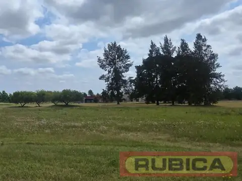 Terreno en Los Pinares C. Club
